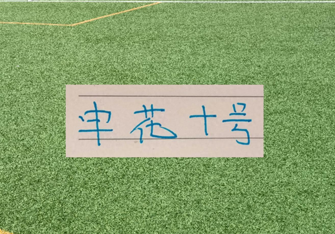 kaiyun-谢天谢地谢鹏飞!拉唐要敲木鱼了 今年代表申花有2黄1红了